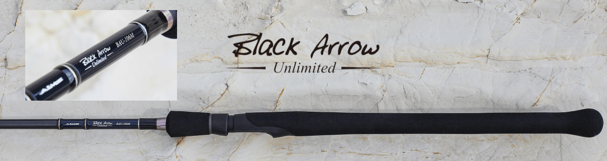 サーフエリア対応モデル | フィッシングブランド「AIMS（エイムス