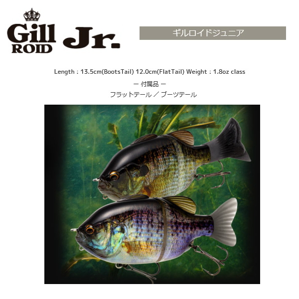 限定カラー Gill Roid Jr. ギルロイドジュニア 限定カラー Gill Roid