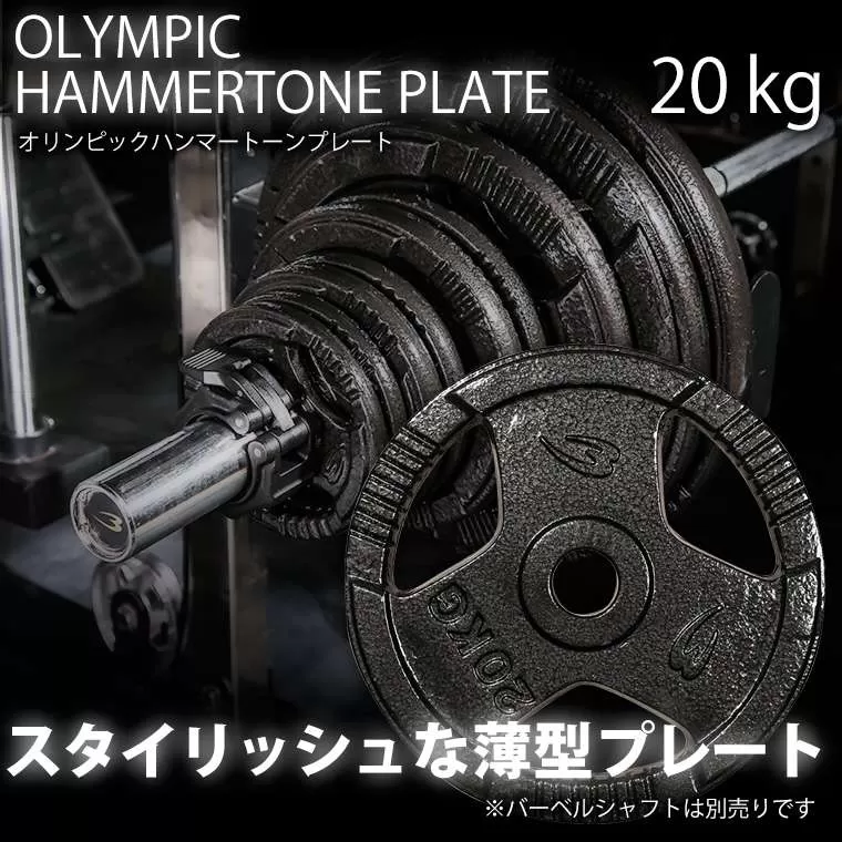 オリンピックハンマートーンプレート 20kg PH0092000｜BODYMAKER