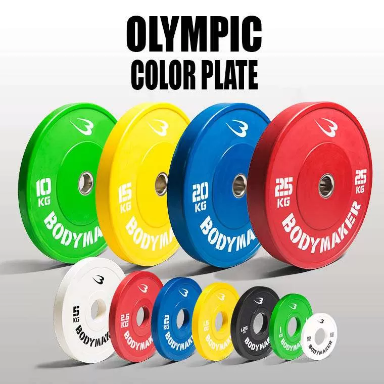 オリンピックカラープレート10KG 2枚セット PR010ST1000
