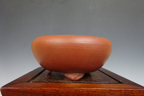 一陶園丸鉢【 21 A ― 57 】 - 小品盆栽専門店 湘風園オンライン