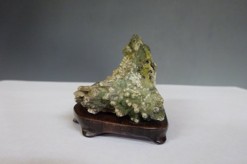 菊花石 (下仁田産) 【 水石 22 ― 04 】 - 小品盆栽専門店 湘風園