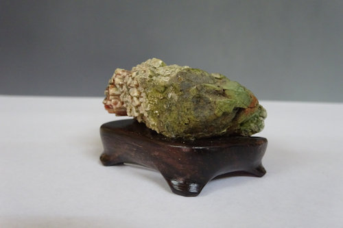 菊花石 (下仁田産) 【 水石 22 ― 03 】 - 小品盆栽専門店 湘風園