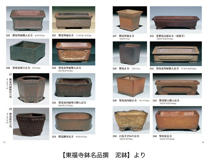 盆栽名鉢シリーズ「平安東福寺」 | 盆栽、盆栽書籍、盆栽鉢の通販