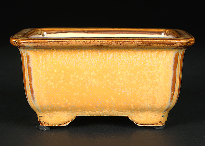 広東隅入長方鉢〔石峰雨竹〕 | 盆栽、盆栽書籍、盆栽鉢の通販│近代出版