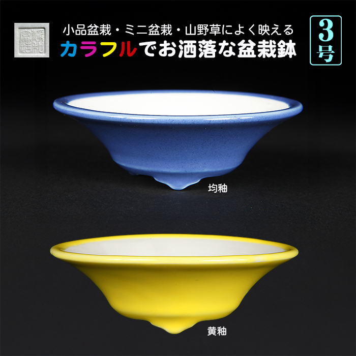 カラフル色小鉢〔静和富造〕 | 盆栽、盆栽書籍、盆栽鉢の通販│近代出版
