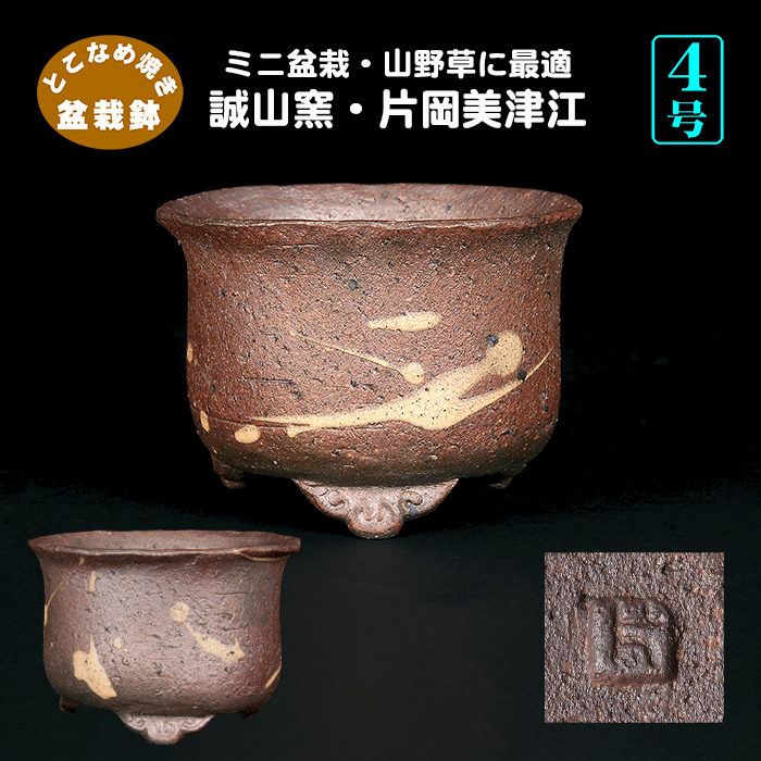 455 盆栽 盆栽鉢 植木鉢 和鉢 片岡 455 盆栽 盆栽鉢 植木鉢 和鉢 片岡
