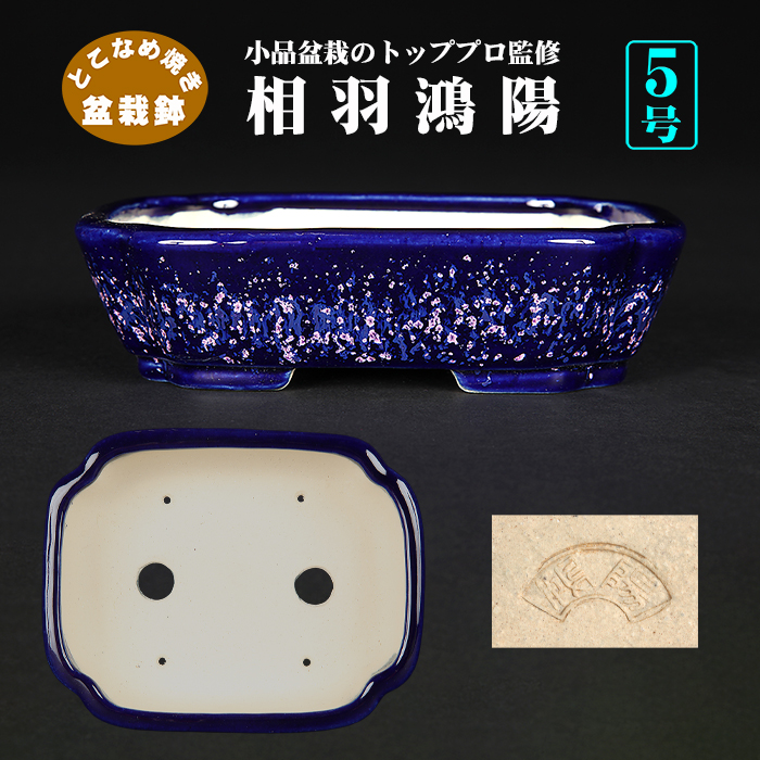 鴻陽瑠璃ピンク結晶釉隅入長方鉢 | 盆栽、盆栽書籍、盆栽鉢の通販