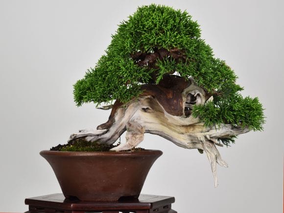 2900_1.jpg?v=1700700599&width=1946