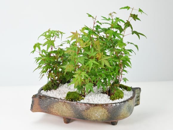 3457_1.jpg?v=1700717828&width=1946