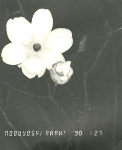 荒木経惟 熊本ララバイ / 写真：荒木経惟 | 小宮山書店 KOMIYAMA TOKYO