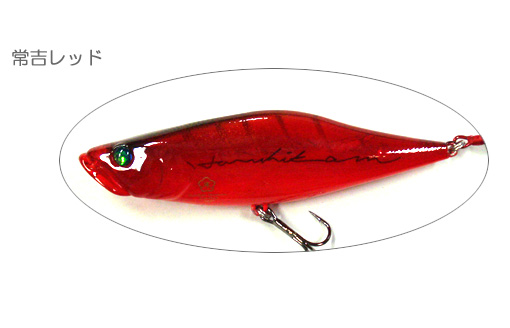 TSUNEKICHI/常吉 Huss Pen92/85°/ハスペン フェザーフック仕様