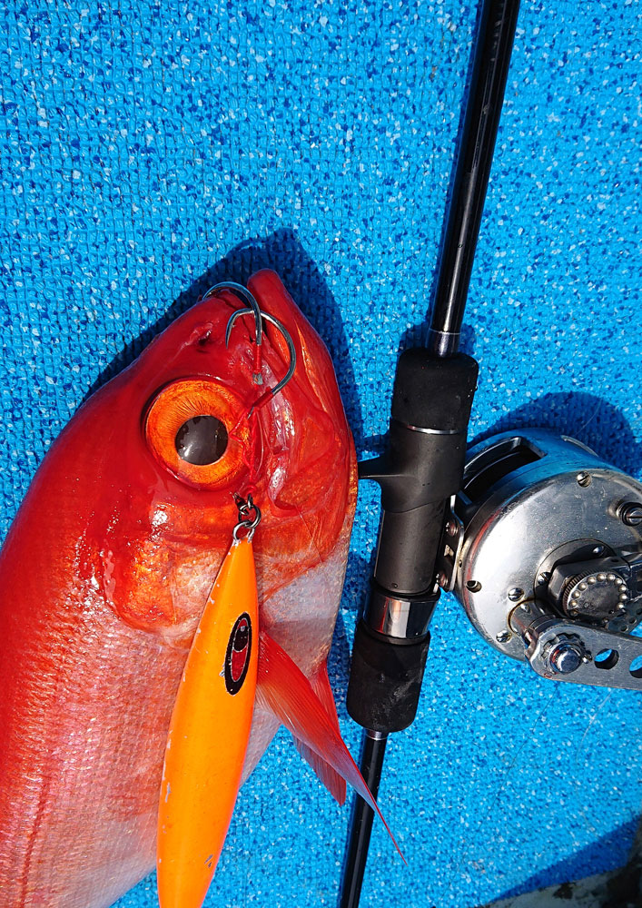 シーフロアコントロール ジャルト JU510-H SEAFLOOR CONTROL JULT