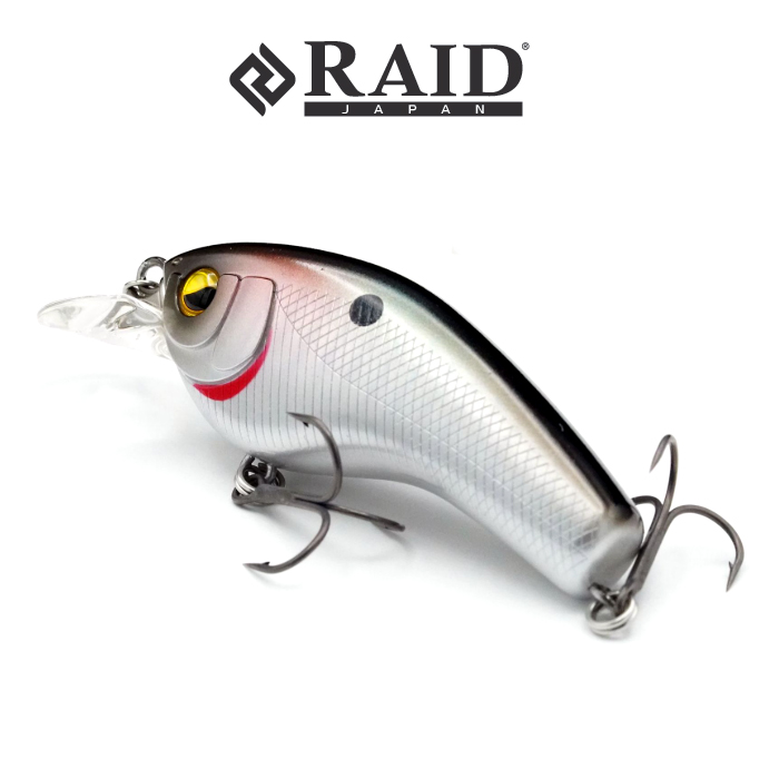 RAIDJAPAN レイドジャパン 15点SET RAIDJAPAN レイドジャパン 15点SET