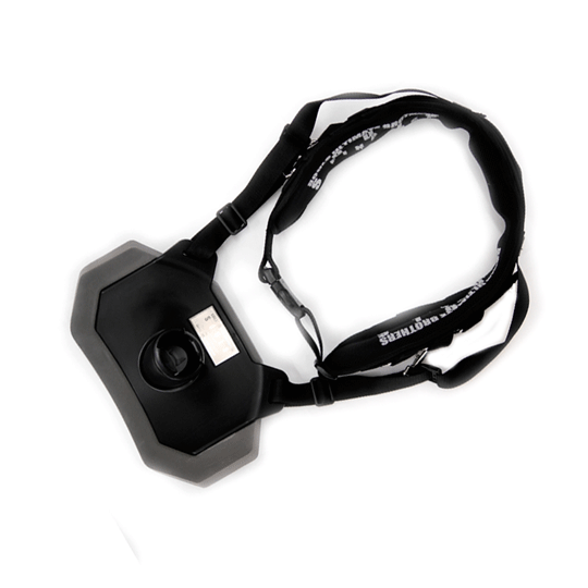 ソウルズ ギンバル 2022年モデル サポートベルトセット SOULS - 【バス