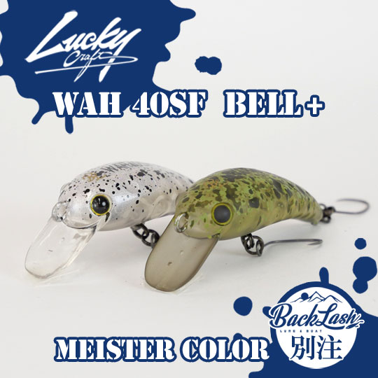 BACKLASHオリカラ】ラッキークラフト ワウ40SF ベルプラス マイスター