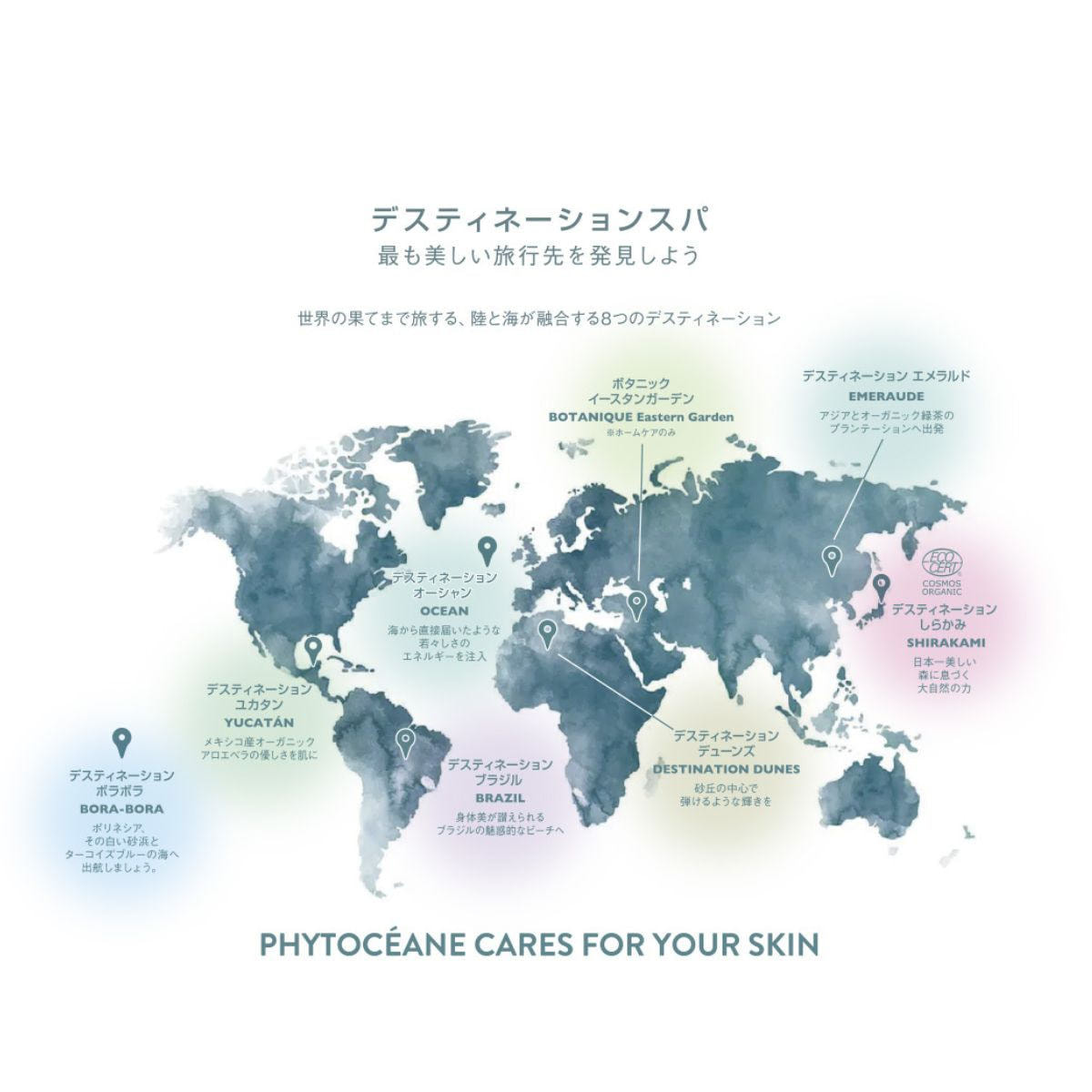 フィトオセアン ジェントル コンセントレイト 30mlの卸・通販