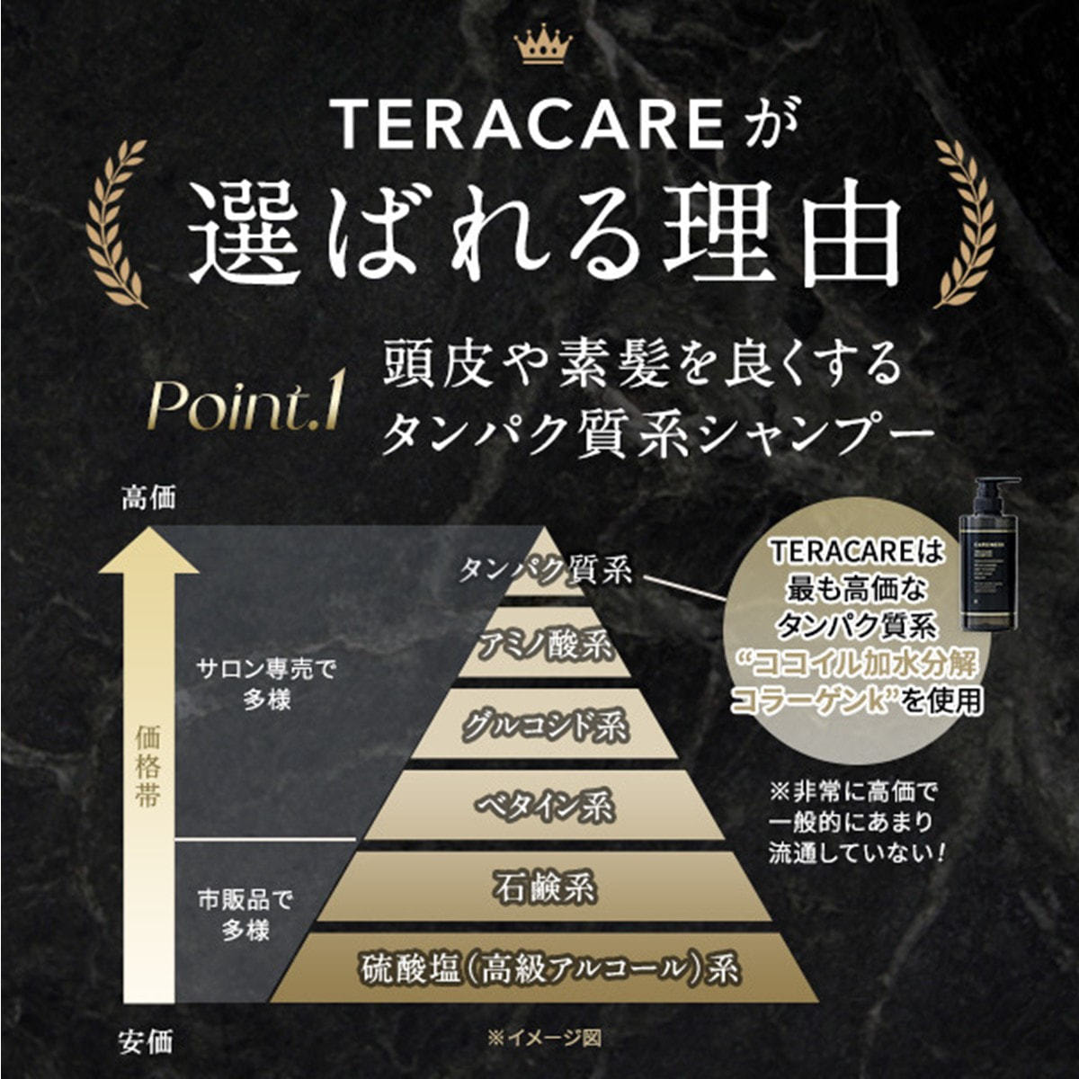 専用容器推奨】テラケア シャンプー 1000ml(レフィル)の卸・通販