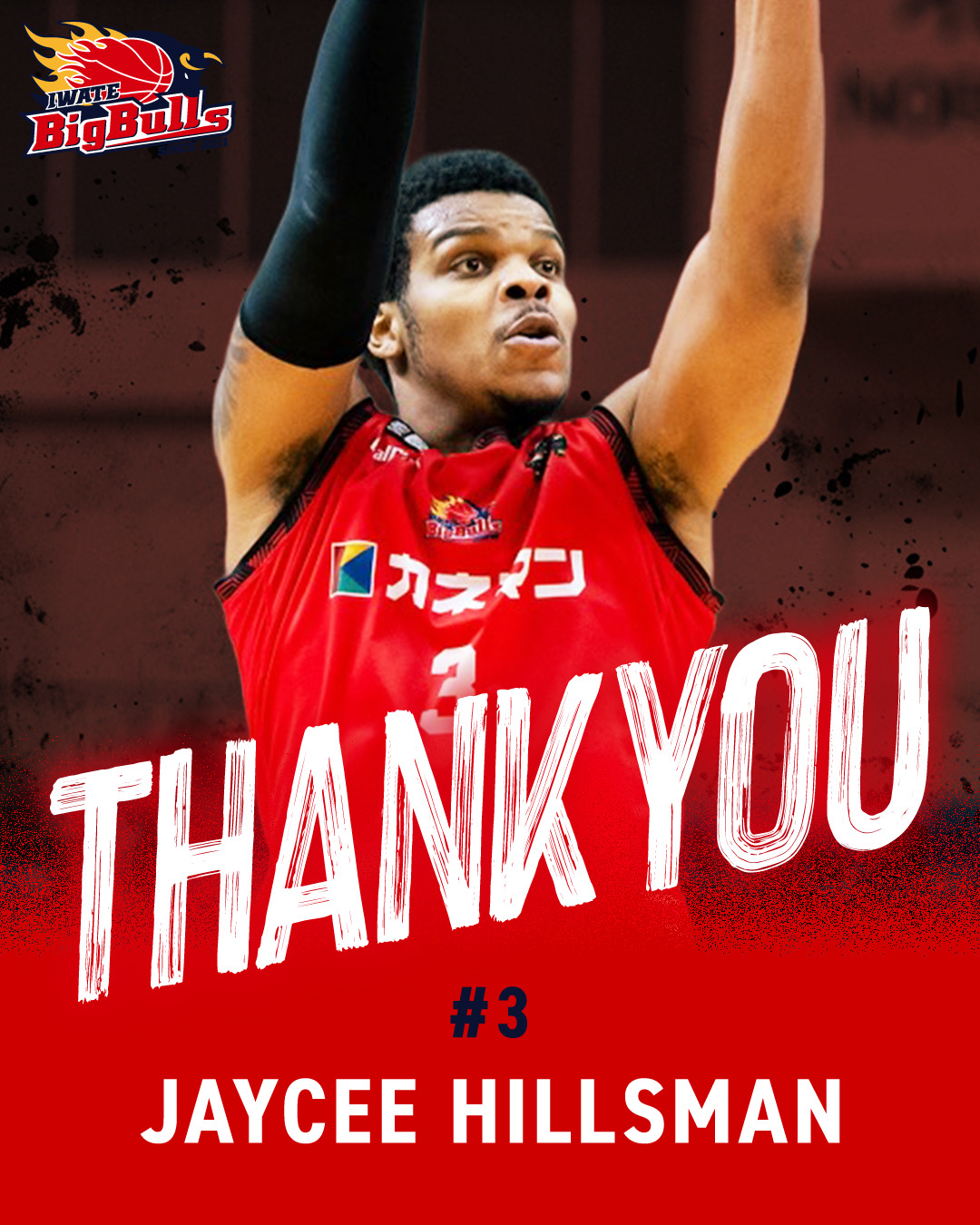 TEAM | 岩手ビッグブルズ