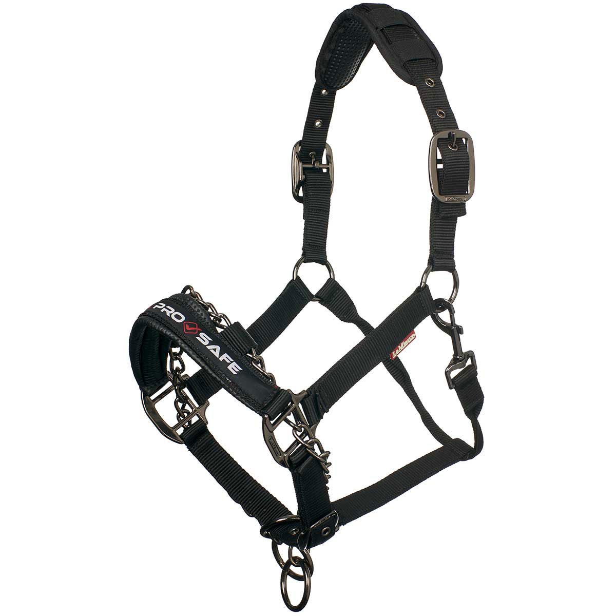 LeMieux ProSafe Headcollar | Big Dee's Tack & Vet Supplies
