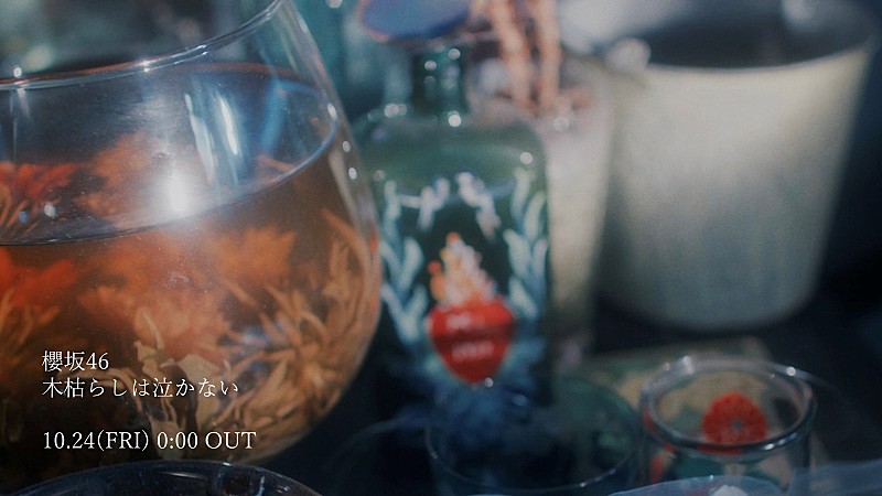 櫻坂46、谷口愛季センターのBACKS楽曲「木枯らしは泣かない」MV公開