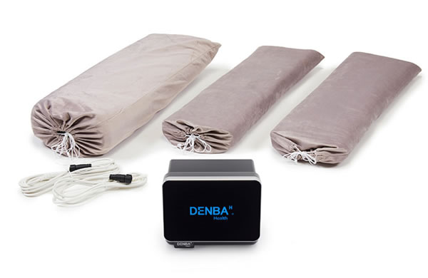 DENBA H 健康機器 専用カバー付き デンバヘルス スタンダード ZX DENBA