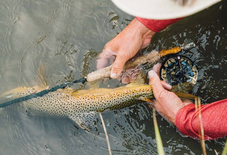 Winston Rod Co Air2 | ウィンストン エア・ツー 正規取扱店:BLUE DUN