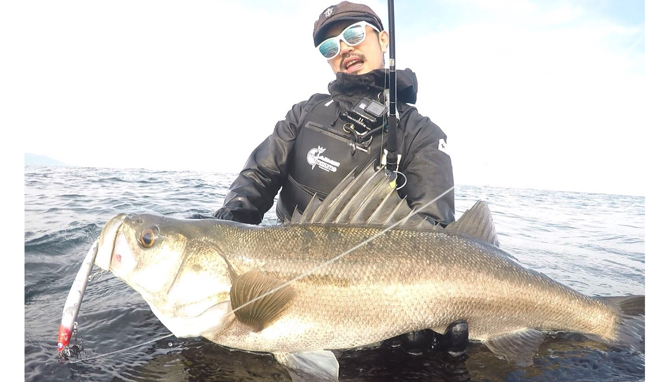 ヴローウィン16本セット140S14本 125f 1本 165f slim1本 ヴローウィン