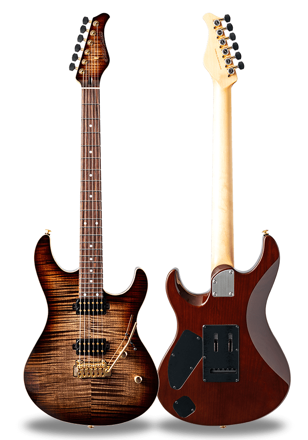 Black Smoker Guitar | MODELS
