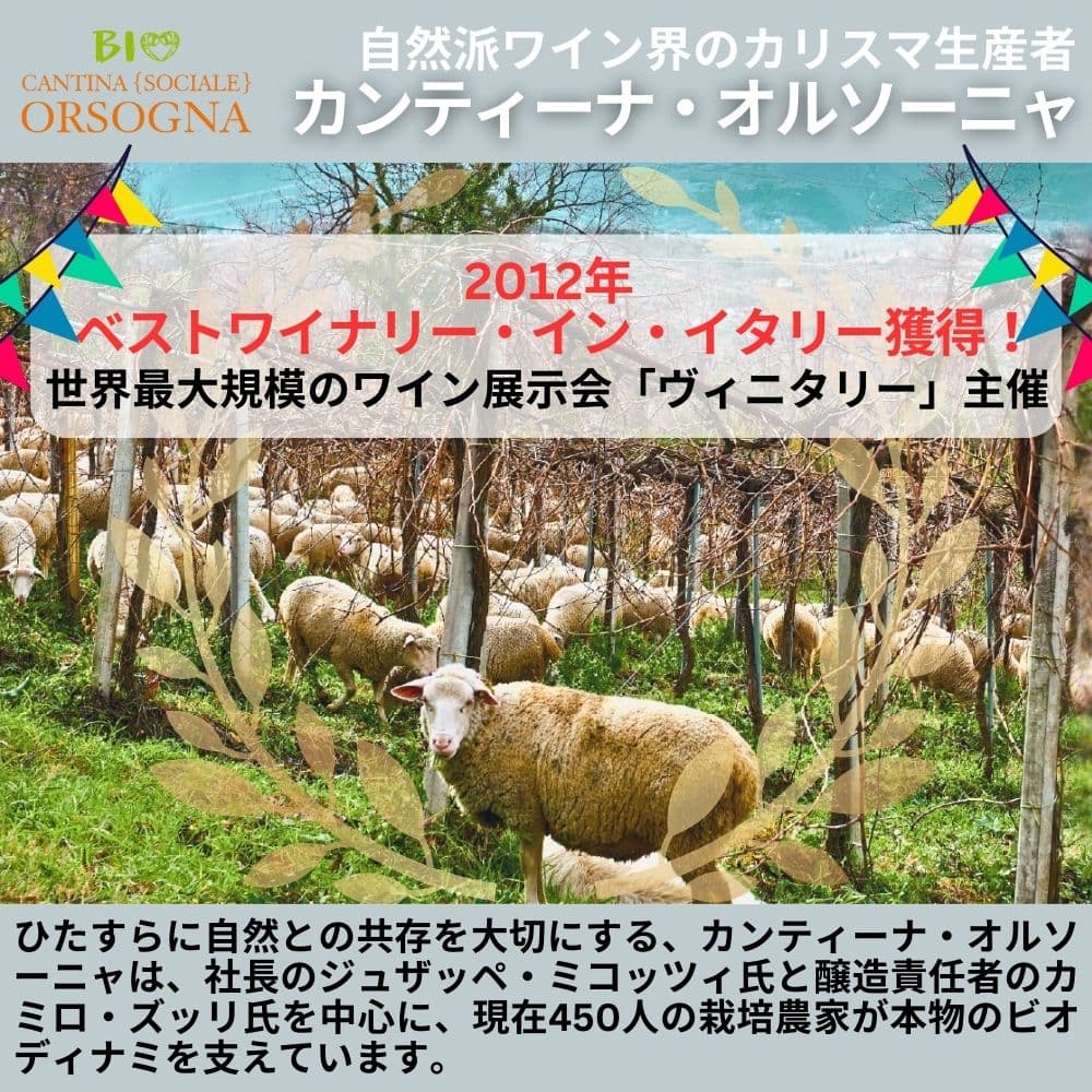 カンティーナ・オルソーニャ ババル マルヴァジア・オレンジ