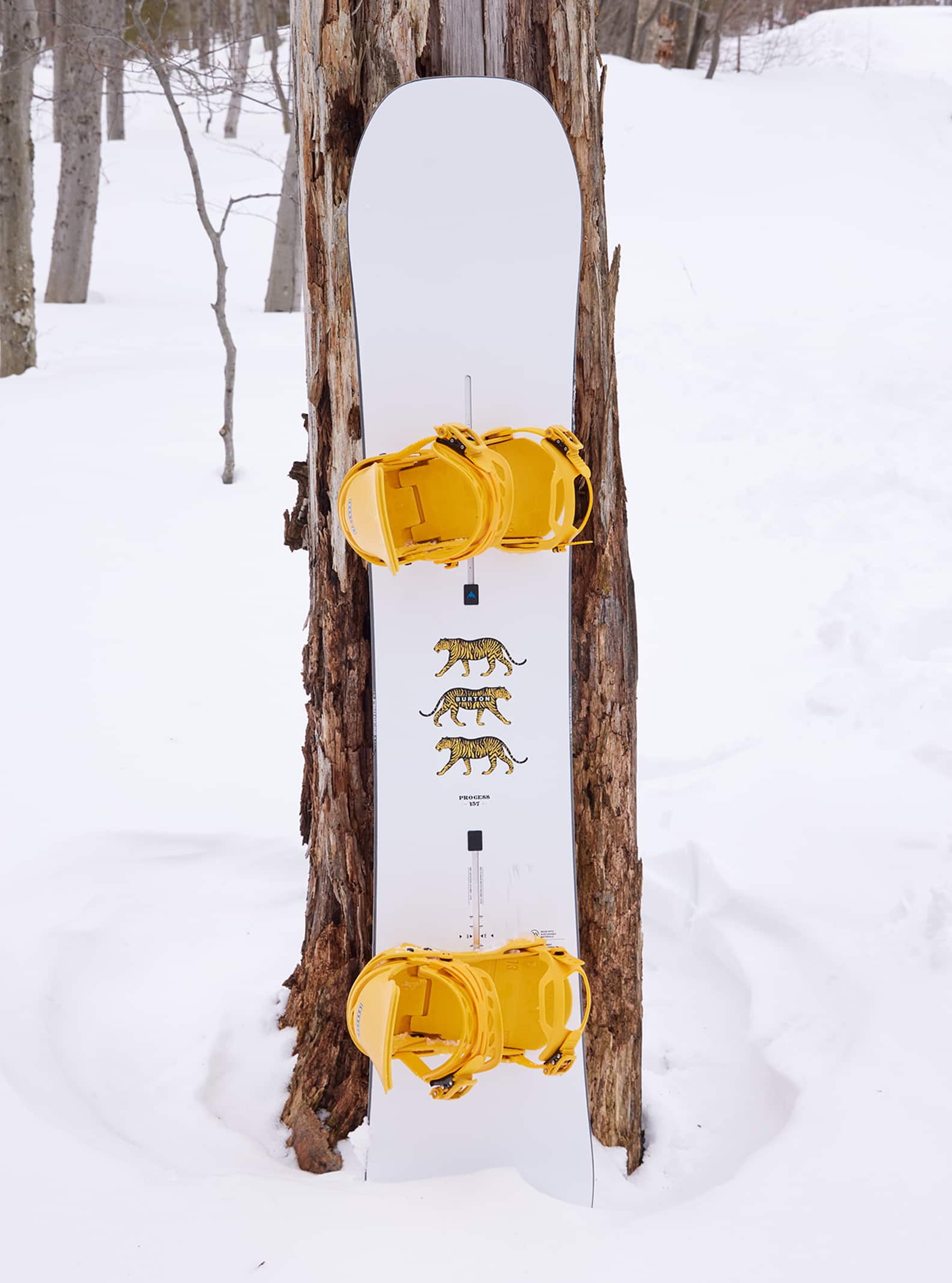 Men's Burton Process Camber Snowboard | All Mountain | Burton.com