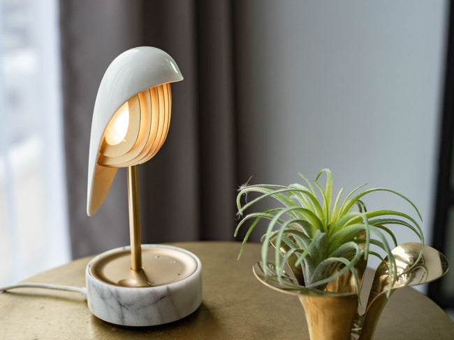 chirp_1-min_650x.jpg?v=1579930741