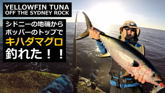 ショアマグロ ついに出た！ » 豪磯部 - Sydney Rockshore Fishing