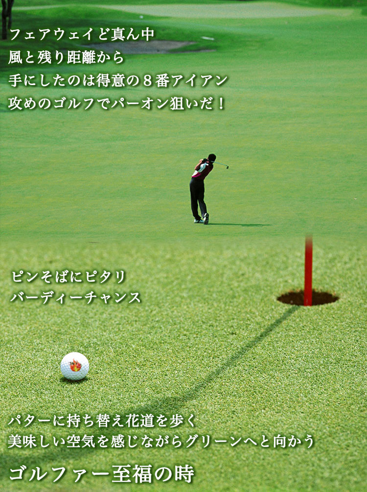 オリジナル】ステンレス切り文字グリーンフォーク「PRO」＆ステンレス