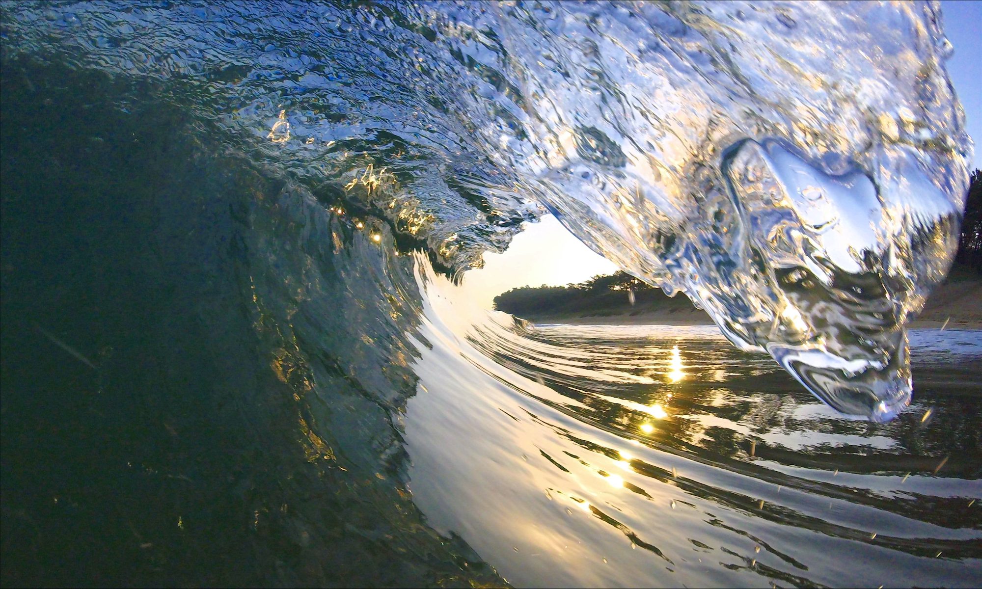 EBIS SKIMBOARDS – GOOD WAVE