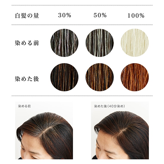 GAIAネットナイアード ヘナ+木藍 茶系 徳用400g(400g): ヘアケア