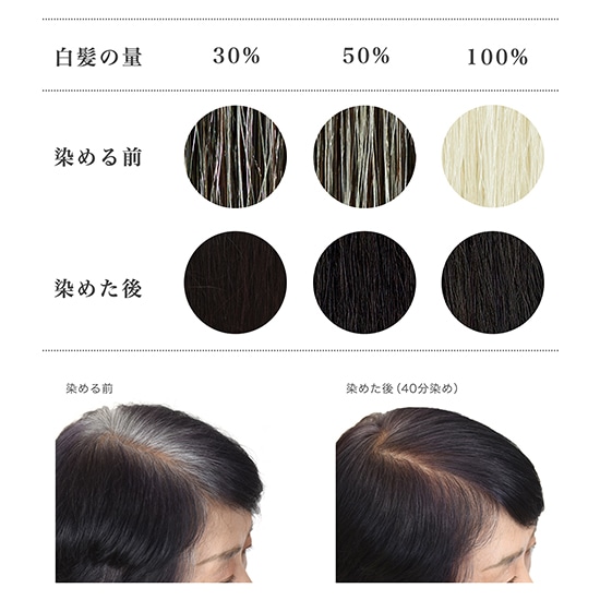 GAIAネットナイアード ヘナ+木藍 黒 100g(100g): ヘアケアオーガニック