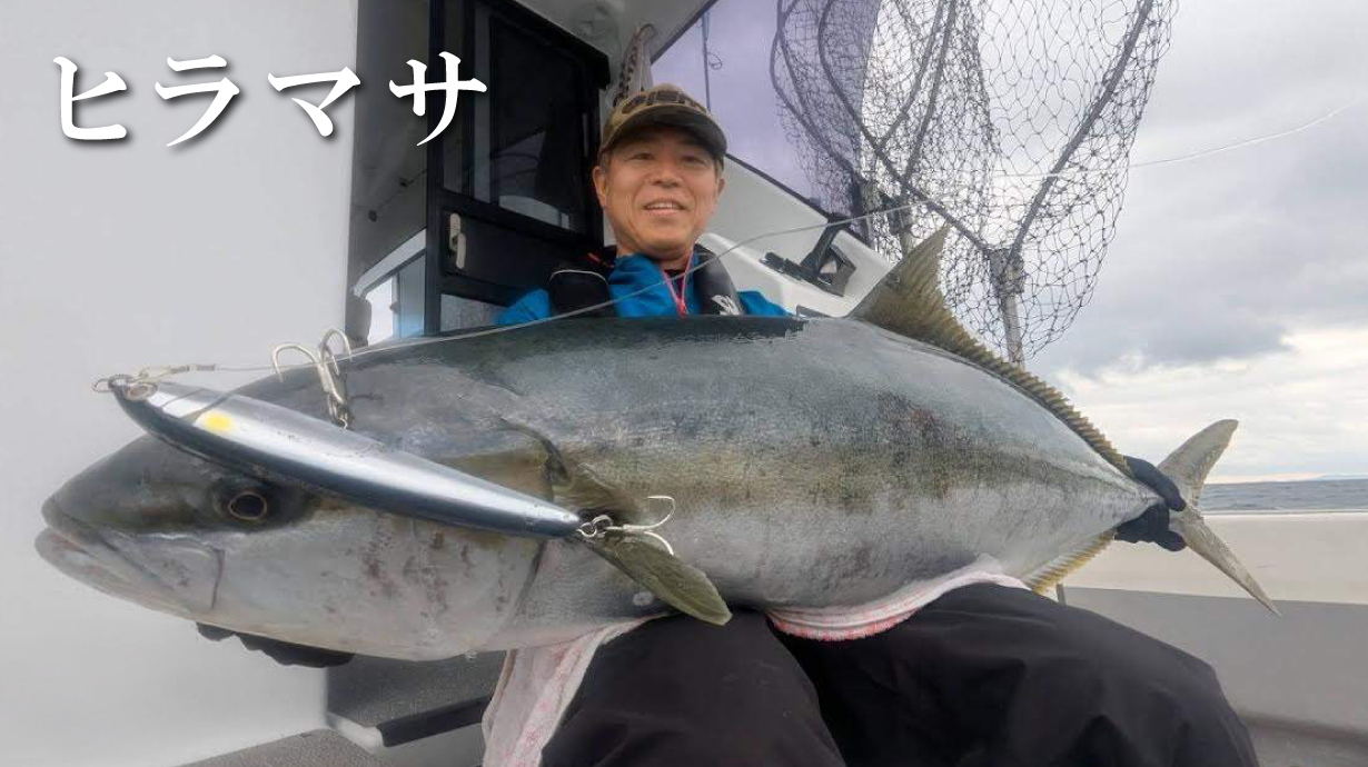 がま磯 真鯛 530 がま磯 真鯛 530 がま磯 真鯛 530 【公式通販】