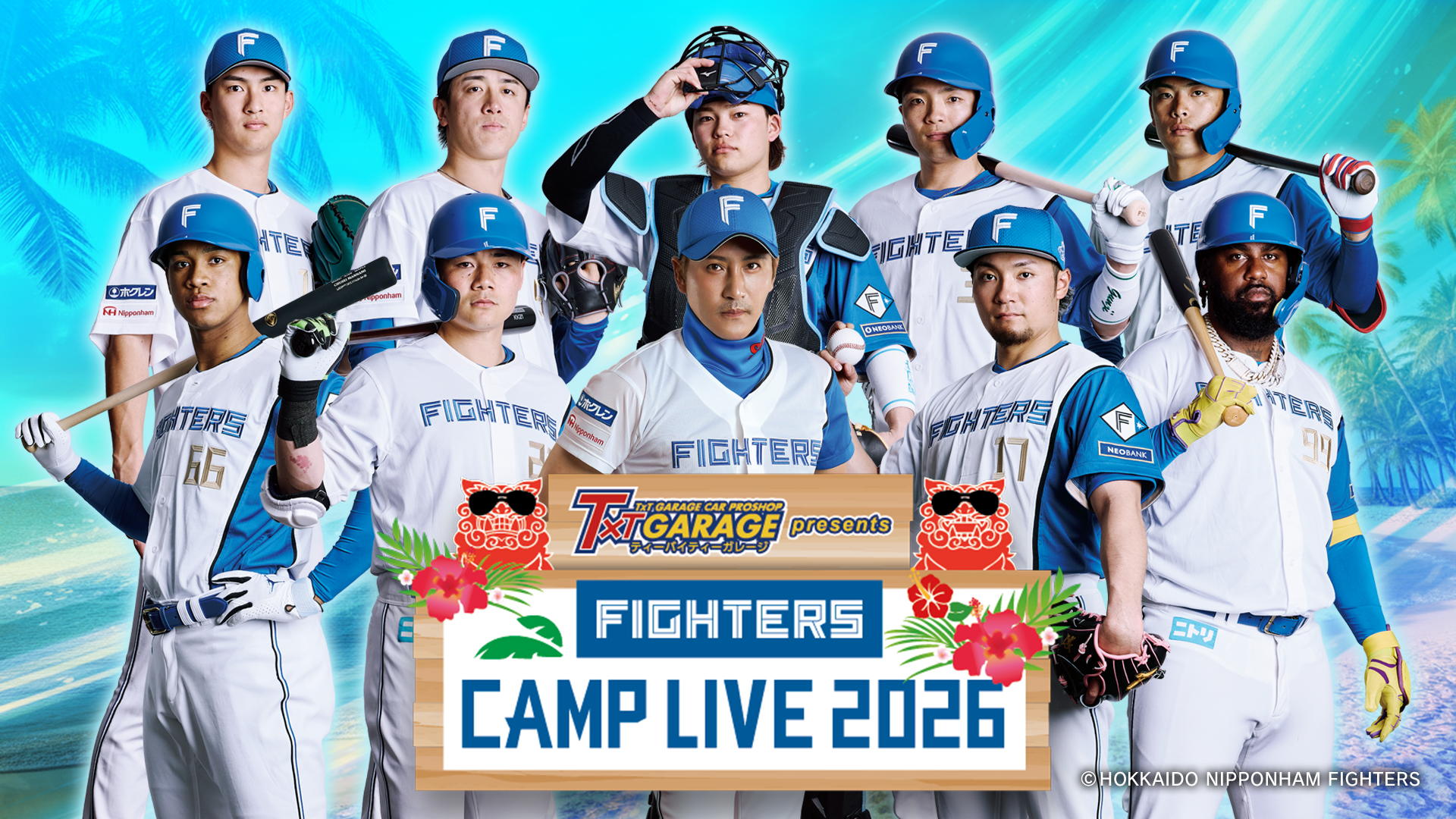 北海道日ハムファイターズ エスコンフィールド NPB公式球2025年5月22日
