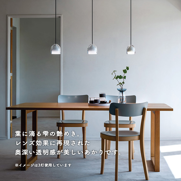 Drop ペンダントライト ダクトレール・調光調色 60W相当 | Bluetooth