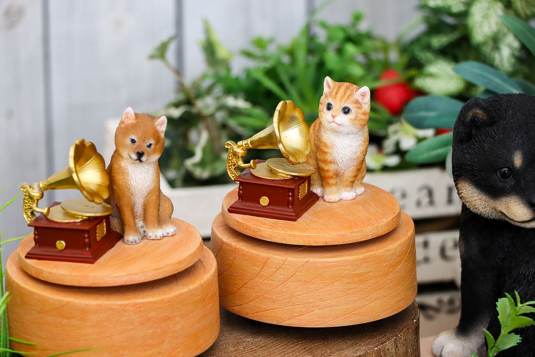 オルゴール（シューベルト子守歌） QB－007Y – GREEN CROSS