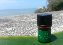 月桃エッセンスオイル：月桃蒸留水や月桃精油などの販売「グリーン