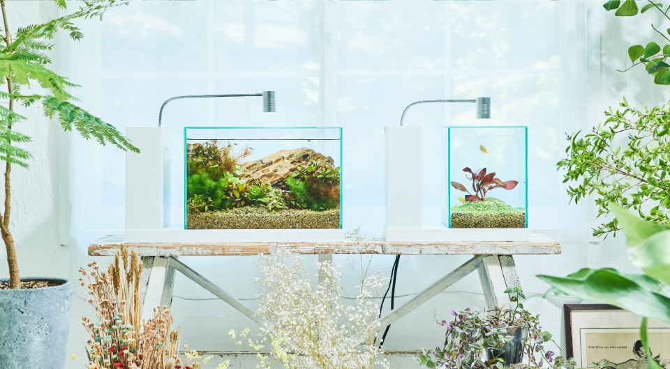 AQUA-U | 新機構でレイアウト自在な水槽 | ジェックス