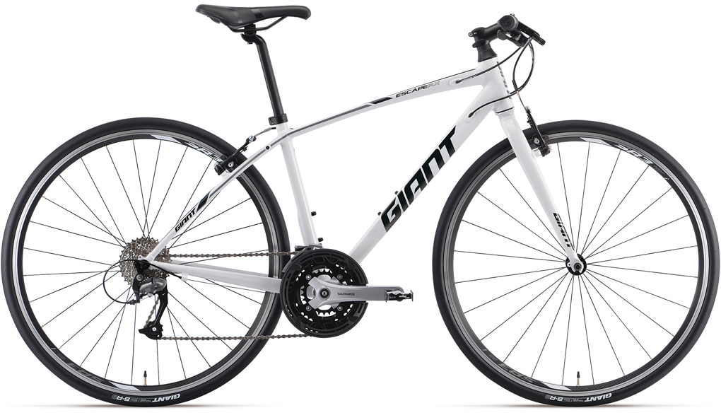 2019 GIANT Bicycles | ESCAPE RX 3