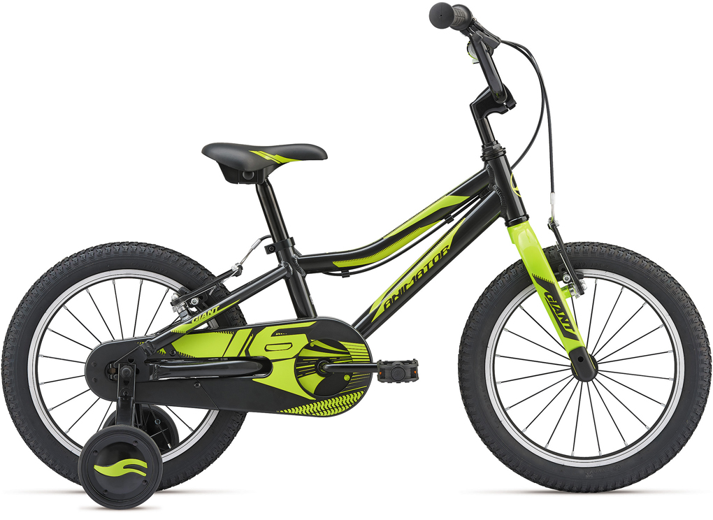 2019 GIANT Bicycles | ANIMATOR 16