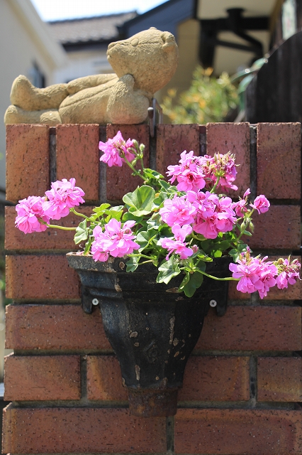 ジャンクガーデンを楽しむ | 庭からの恵み