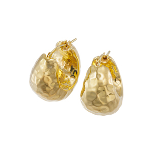 GSTV イタリアンジュエリー 耳モノ（ピアス・チャーム・イヤリング）の