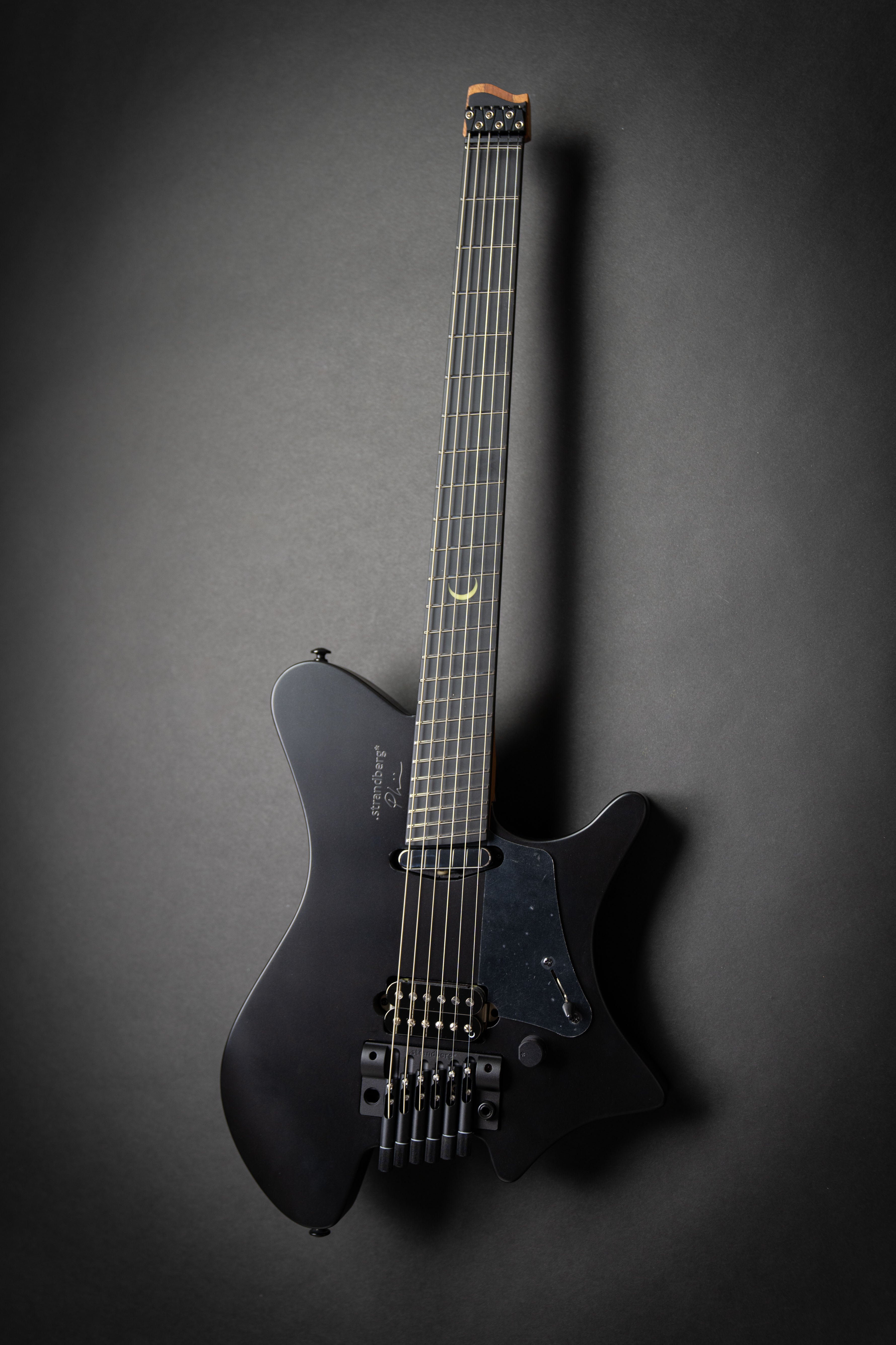 Strandberg Sälen NX 6 Tremolo Plini Edition Black (C2301403