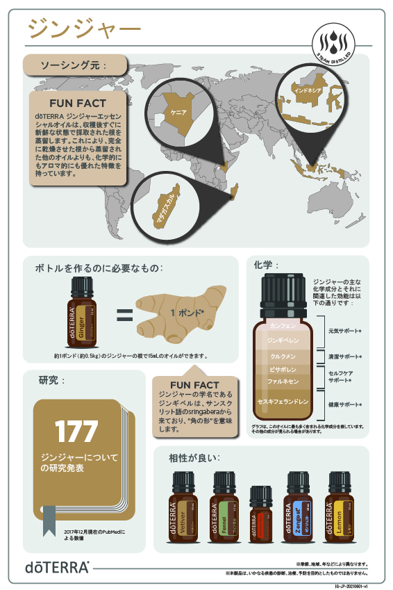 ジンジャー - doTERRA TIMES