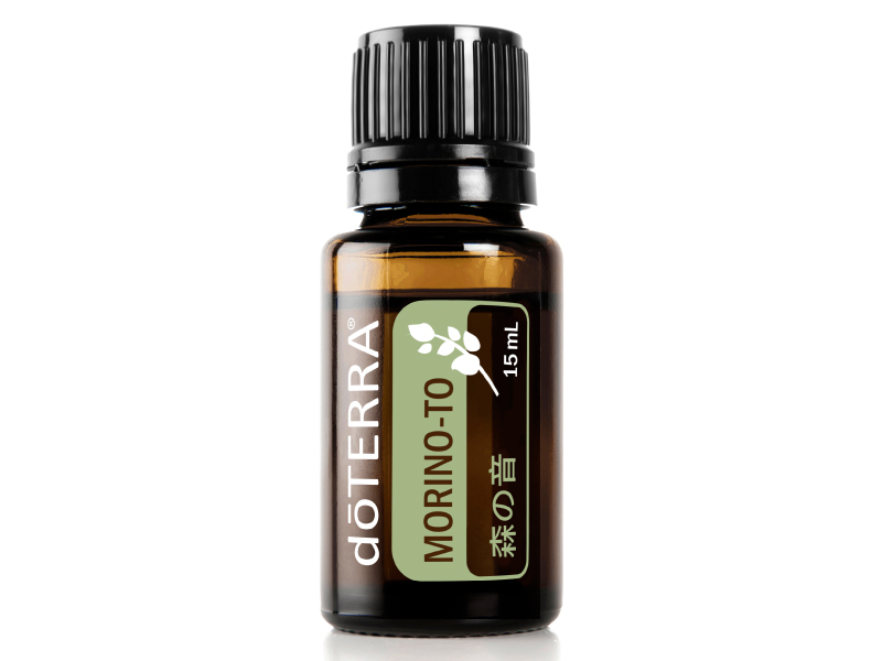 ドテラ 森の音デラックスキット オイルのみ 18本 正規品 WA 森の音